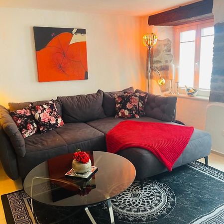 Luxus Domizil Apartment วิลลิงเงน-ชเวนนิงเงน ภายนอก รูปภาพ